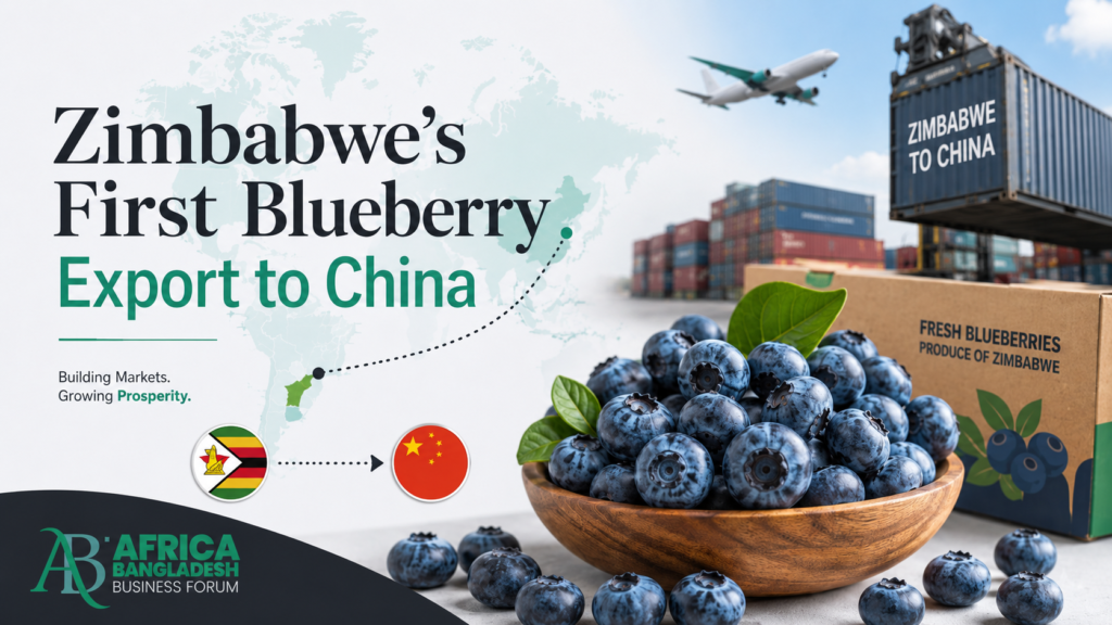 Zimbabwe’s Blueberry Export to China Shows Africa’s Growing Trade Potential
