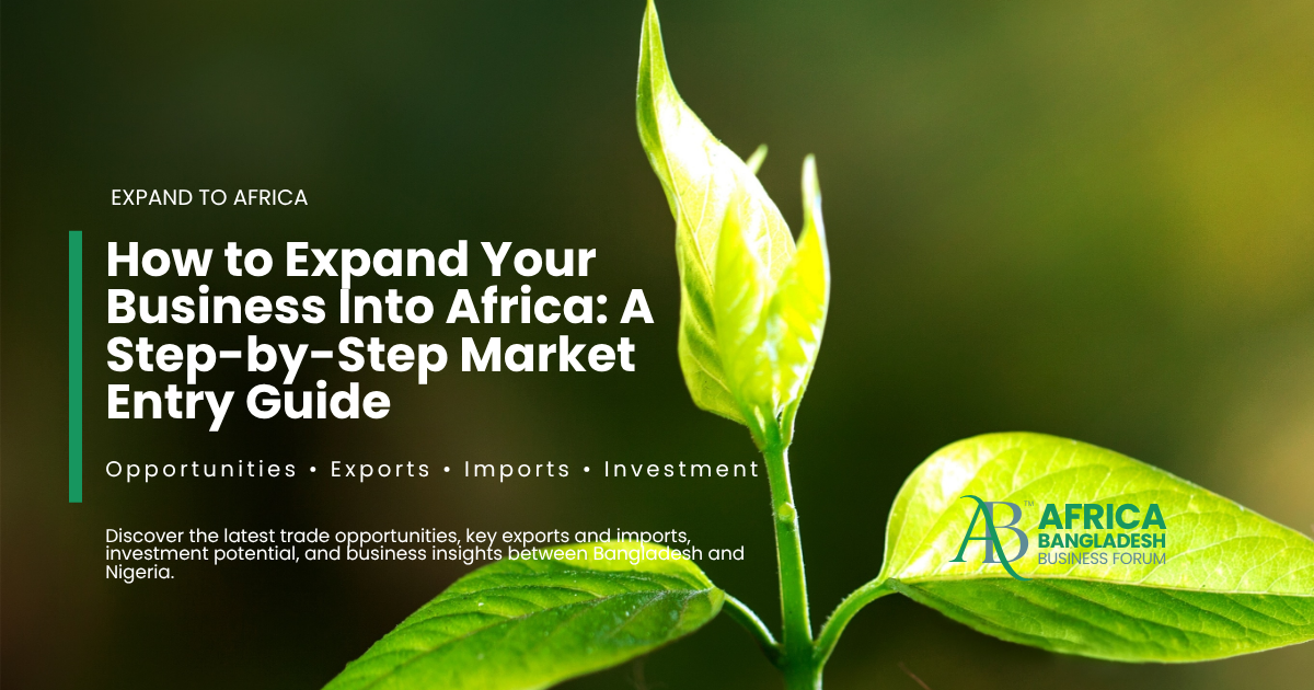 Africa market entry strategy guide for businesses expanding into African markets